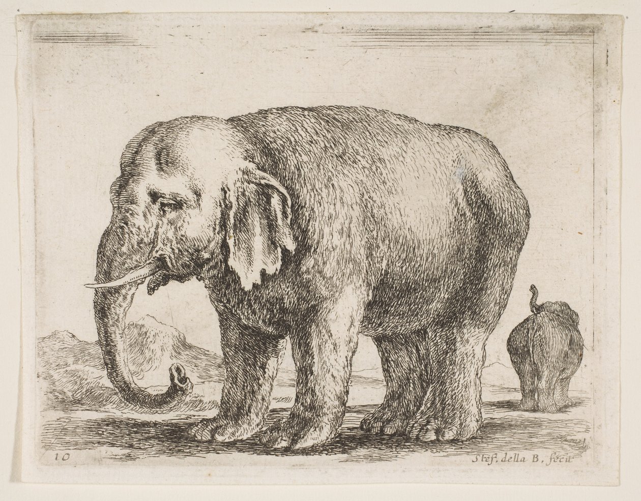 プレート10：さまざまな動物の象Diversi animali、ca. 1641年。 作： ステファノ・デラ・ベラ