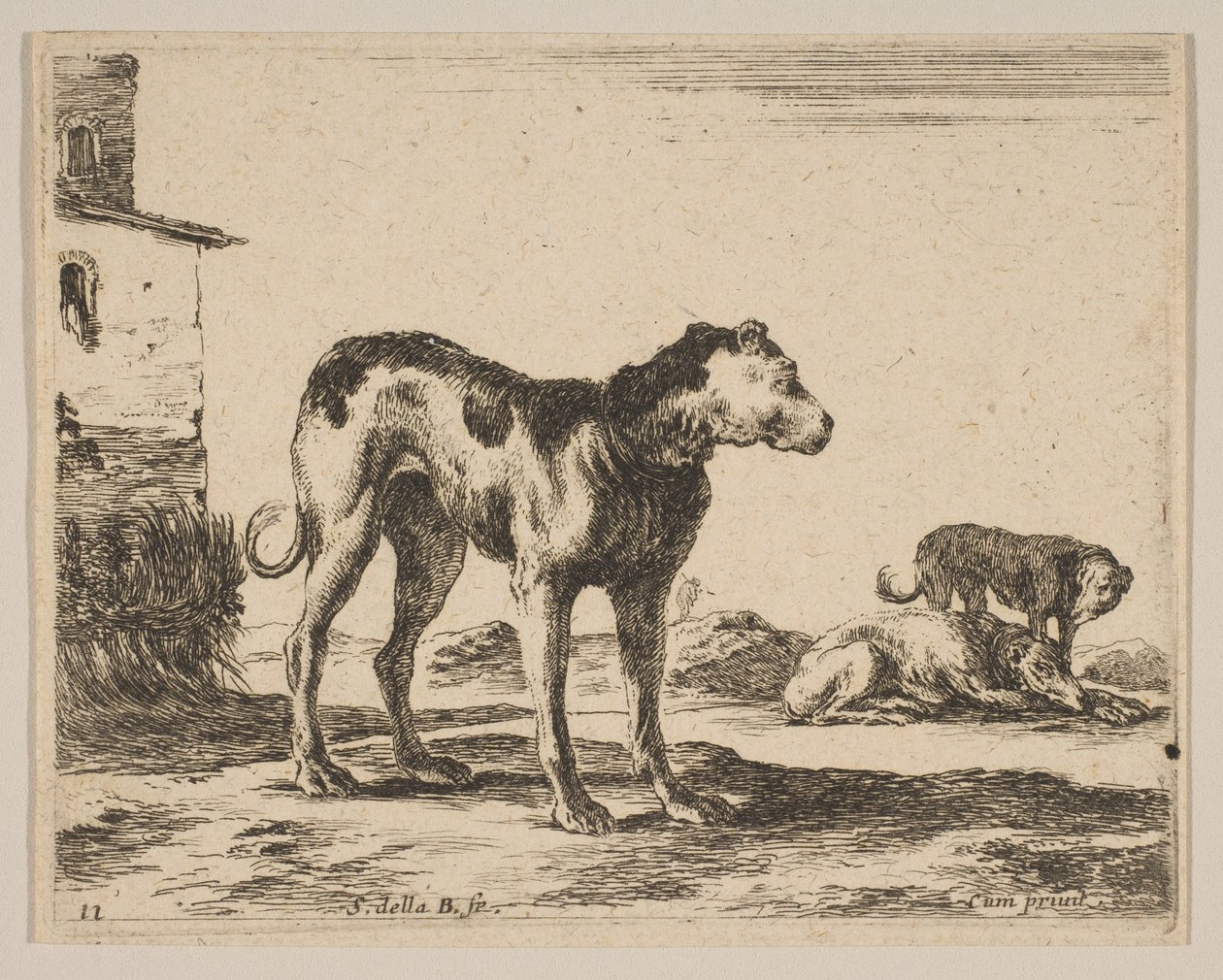 プレート11：さまざまな動物の犬Diversi animali、ca. 1641年。 作： ステファノ・デラ・ベラ