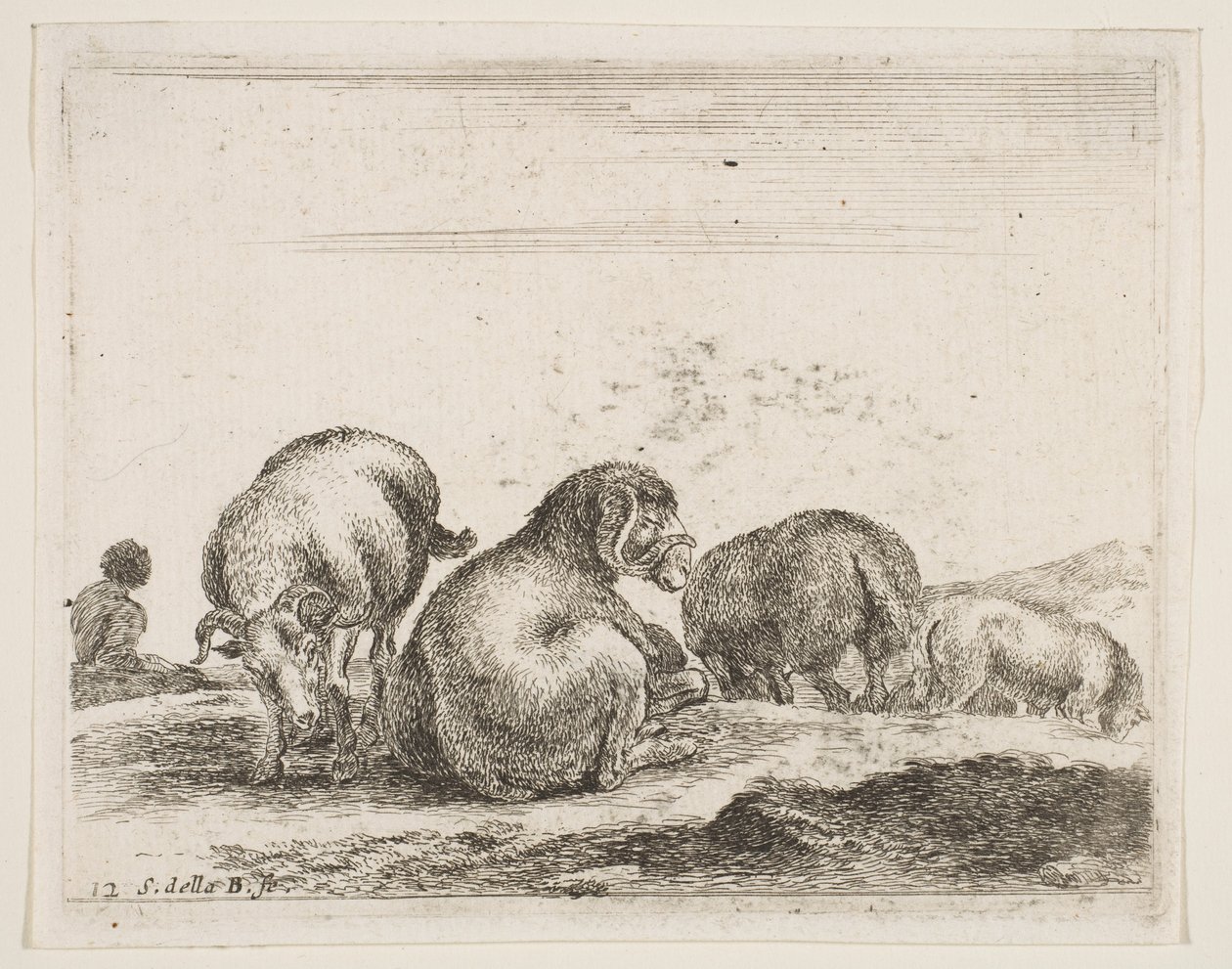 プレート12：牧草地の羊と羊、さまざまな動物Diversi animali、ca。 1641年。 作： ステファノ・デラ・ベラ