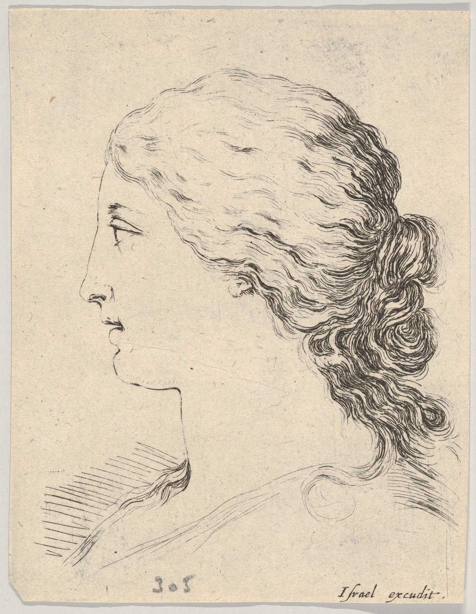 プレート 14: 女性の頭、横顔、「The Book for Learning to Draw」より Livre pou..., ca. 1649年。 作： ステファノ・デラ・ベラ