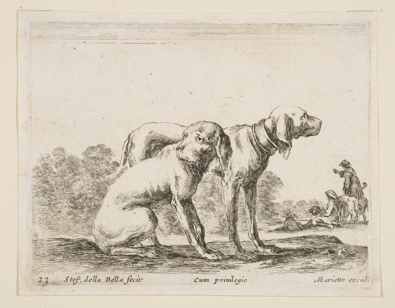 プレート23：さまざまな動物の2匹の猟犬Diversi animali、ca. 1641年。 作： ステファノ・デラ・ベラ