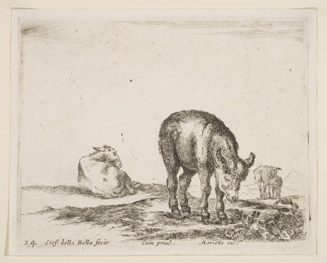 プレート24：さまざまな動物のロバ、Diversi animali、ca。 1641年。 作： ステファノ・デラ・ベラ