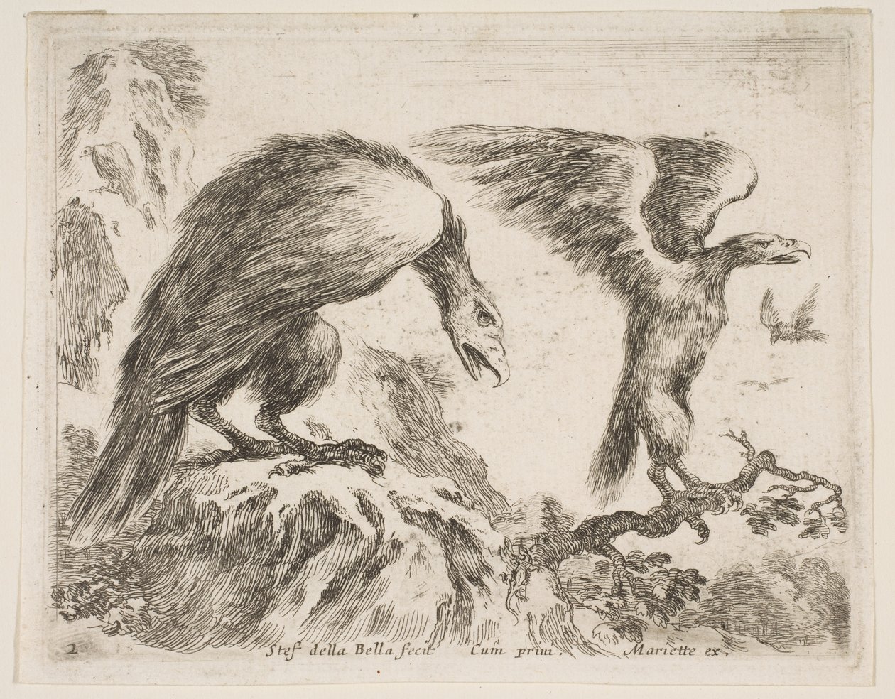 プレート2：ワシとワシ、さまざまな動物からDiversi animali、ca. 1641年。 作： ステファノ・デラ・ベラ