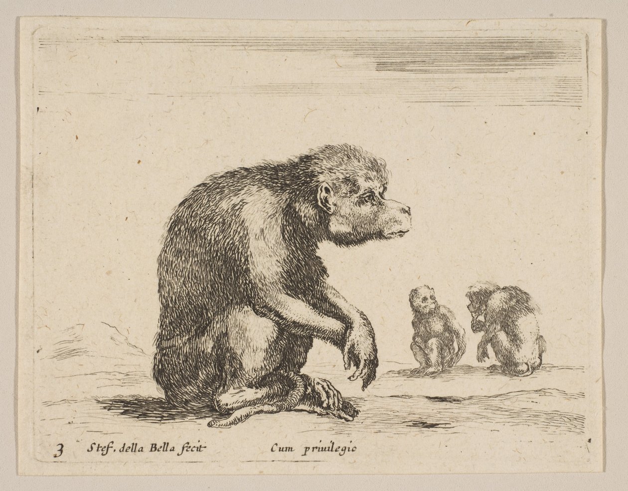 プレート3：座っているサル、さまざまな動物からDiversi animali、ca. 1641年。 作： ステファノ・デラ・ベラ