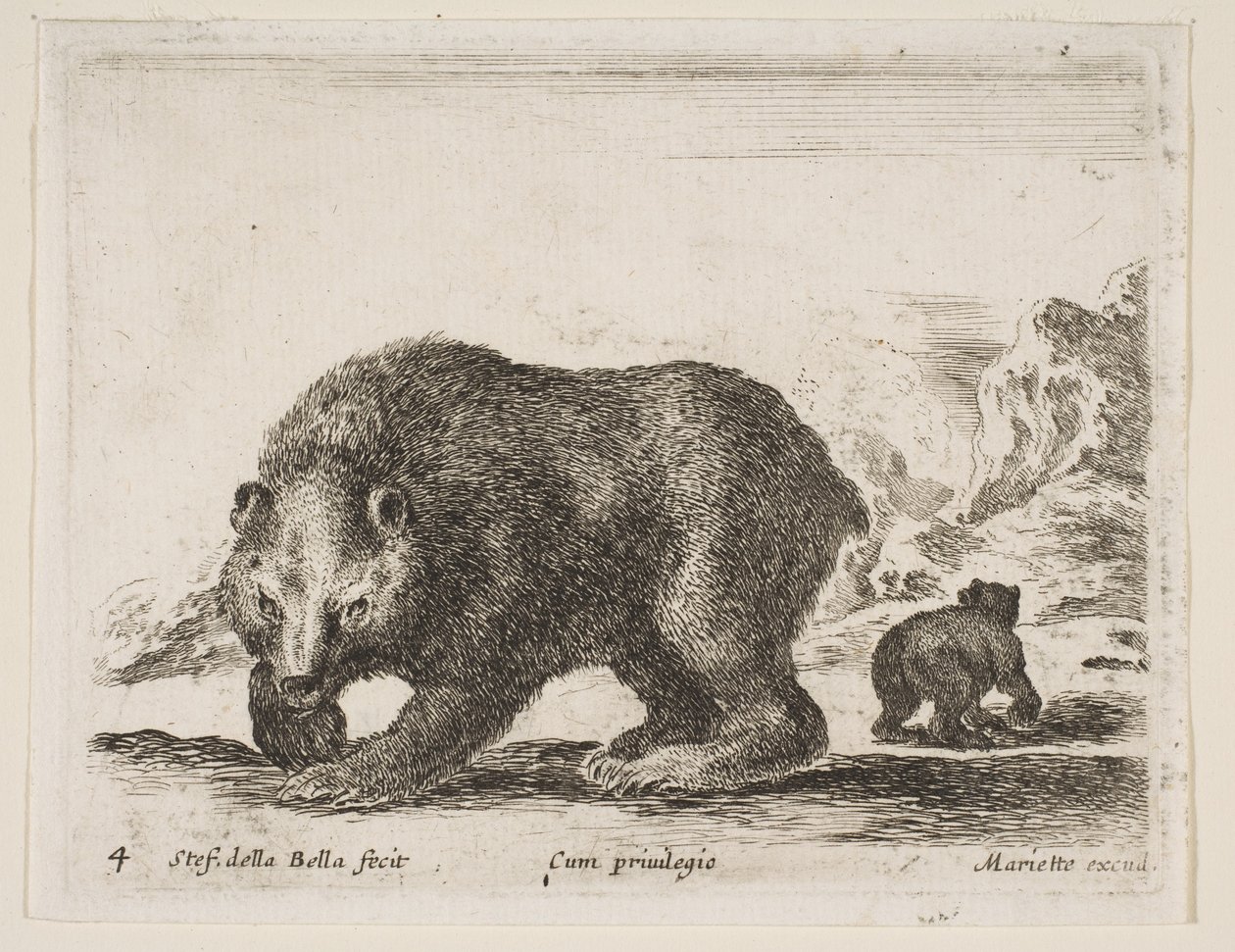 プレート4：熊（「様々な動物」より Diversi animali, 1641年）。 作： ステファノ・デラ・ベラ