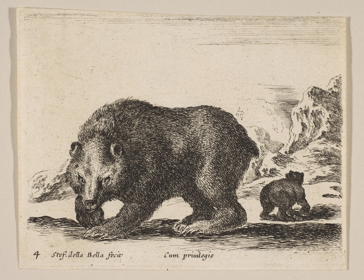 プレート4：熊（「様々な動物」より） Diversi animali, ca. 1641. 作： ステファノ・デラ・ベラ
