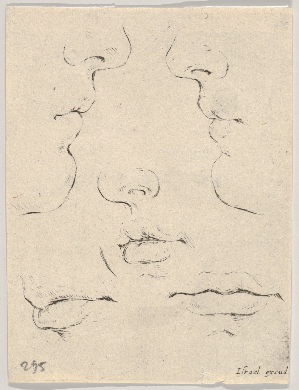 プレート4：The Book for Learning to Draw Livre po ...の2つのプロファイルと3つの口。 1649 作： ステファノ・デラ・ベラ