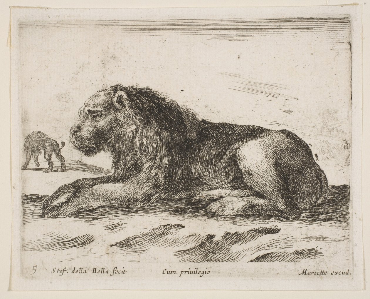 プレート5：リクライニングライオン、さまざまな動物からDiversi animali、1641年。 作： ステファノ・デラ・ベラ