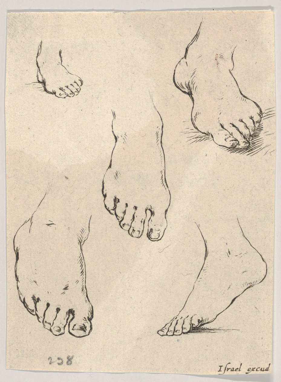 プレート7：5フィート、「リブアを描くための本」から、Livreを追加します。 1649 作： ステファノ・デラ・ベラ