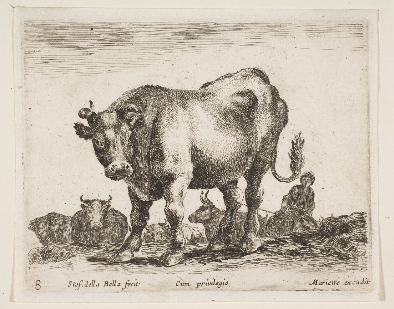 プレート8：さまざまな動物の牛Diversi animali、ca. 1641年。 作： ステファノ・デラ・ベラ