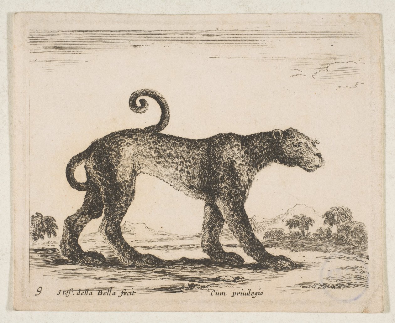 プレート 9: ヒョウ、「さまざまな動物」 Diversi animali、ca. 1641年。 作： ステファノ・デラ・ベラ