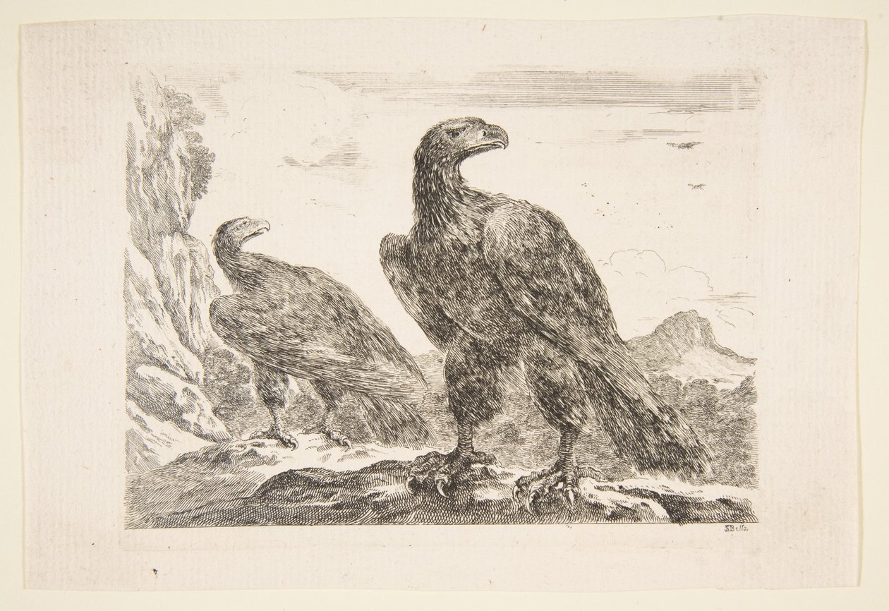 2 羽のワシ、「イーグル」レ ゼーグル、カリフォルニア州から。 1651年。 作： ステファノ・デラ・ベラ