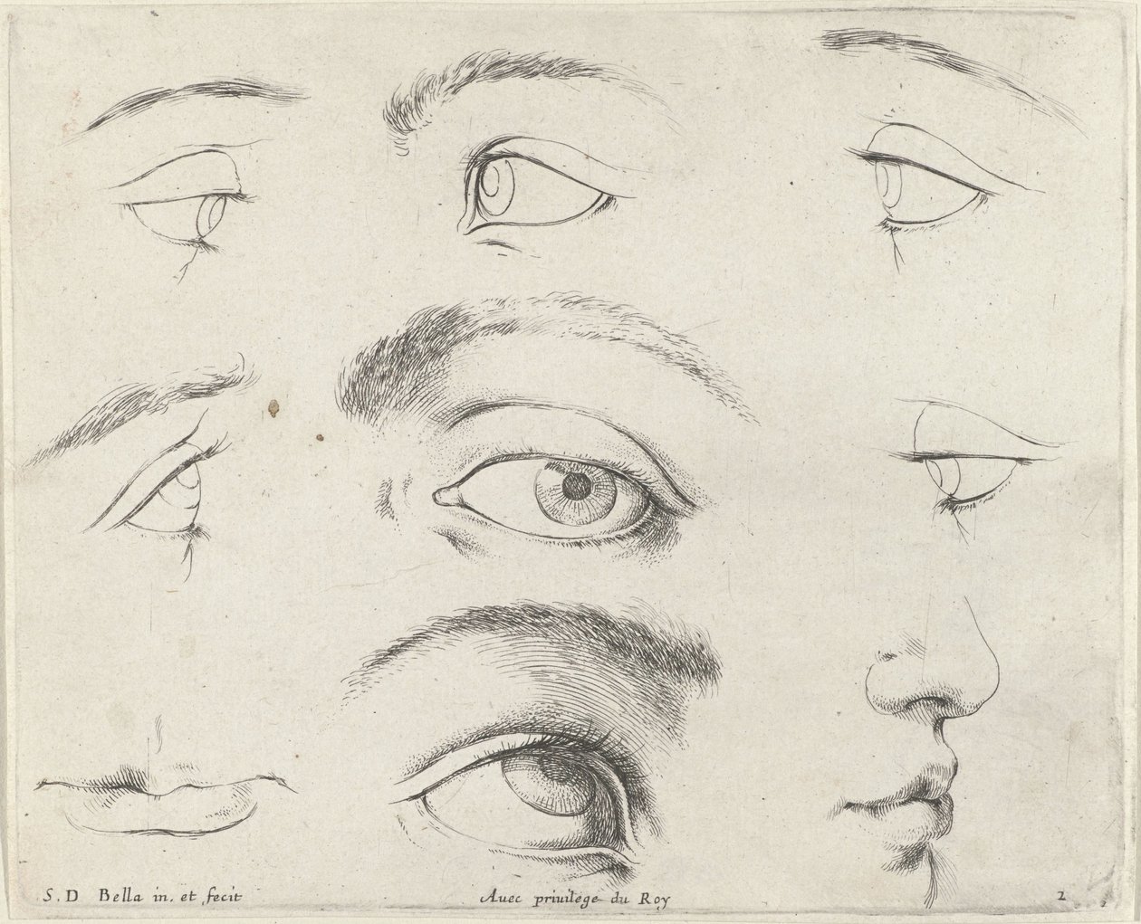 7つの目と2つの口と1つの鼻 描画の原理 (シリーズ タイトル) I principii del disegno (シリーズタイトル) 作： ステファノ・デラ・ベラ