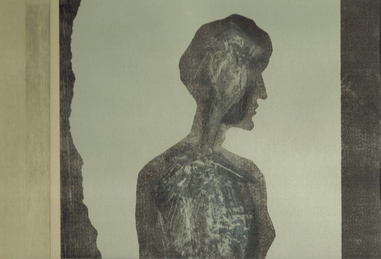 la Foret XII, 2017（コラージュ） 作： スティーブン・ダウ