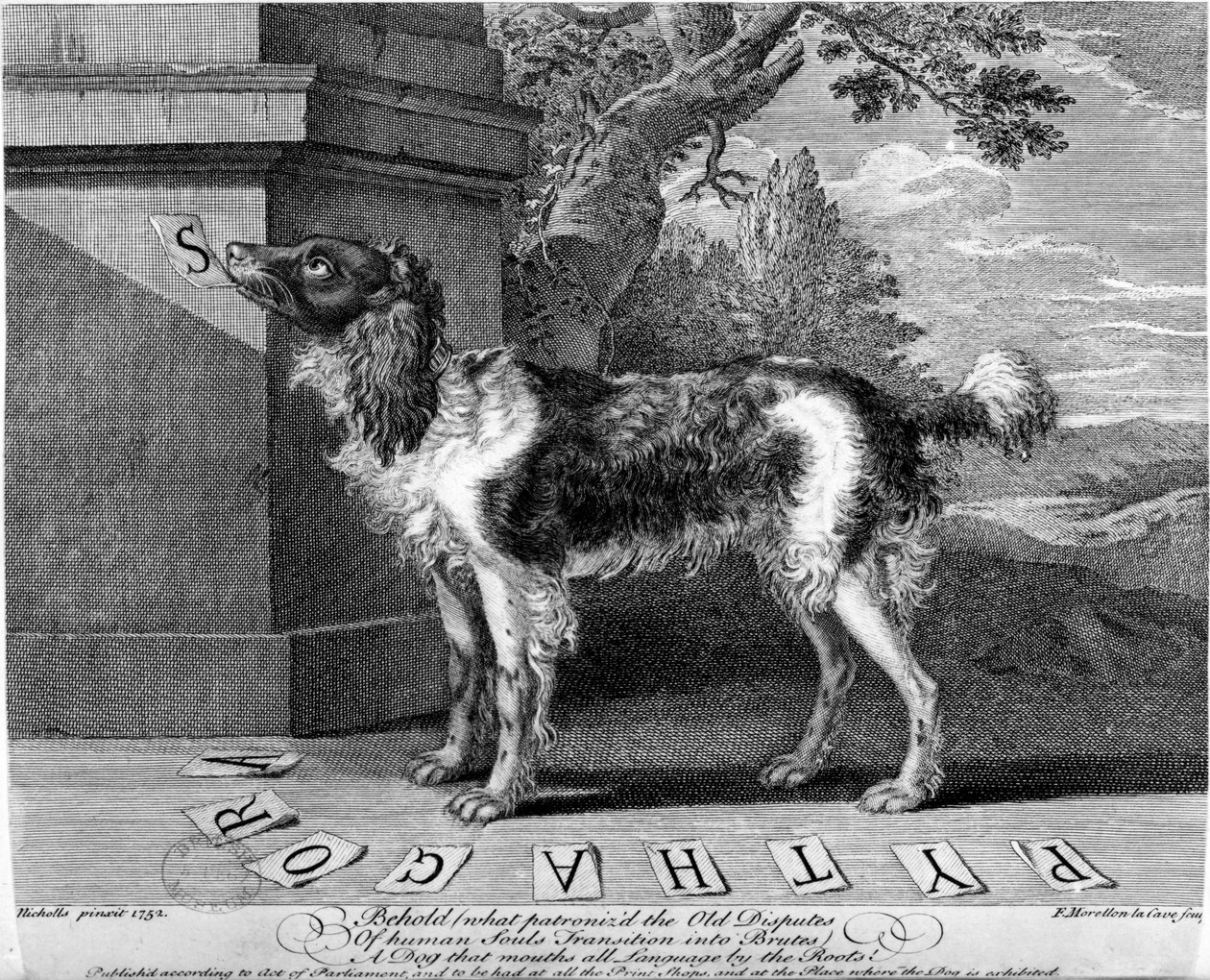F-Morellon la Cave、1752年製の新しいChien Savant、または学習した犬のプリント 作： サットン・ニコルズ