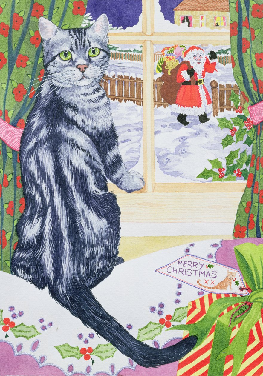 トビーのクリスマス訪問者 作： スザンヌ・ベイリー