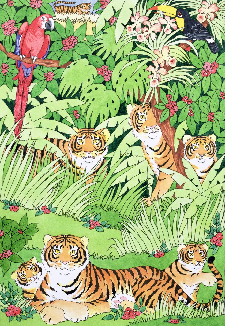 タイガージャングル 作： スザンヌ・ベイリー