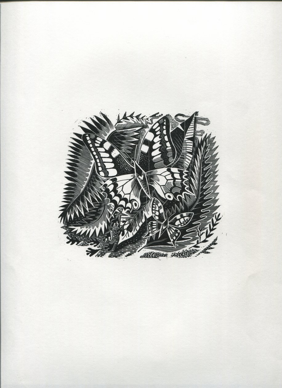 熱帯蝶（木版画） 作： スザンヌ・クーパー