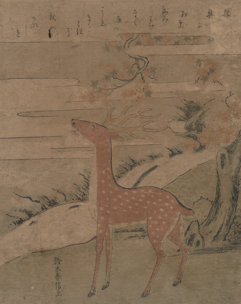 雄鹿の叫び、約。 1760年頃。 1760年。 作： 鈴木春信