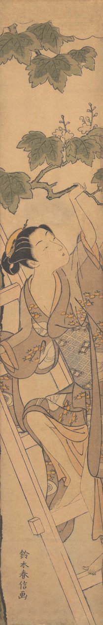 はしごを登る若い女性、カリフォルニア州。 1768年頃。 1768年。 作： 鈴木春信