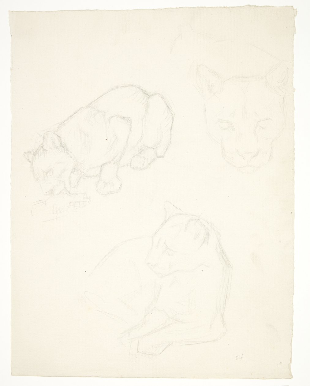 子ライオンの 3 つの習作 作： Svend Rathsack