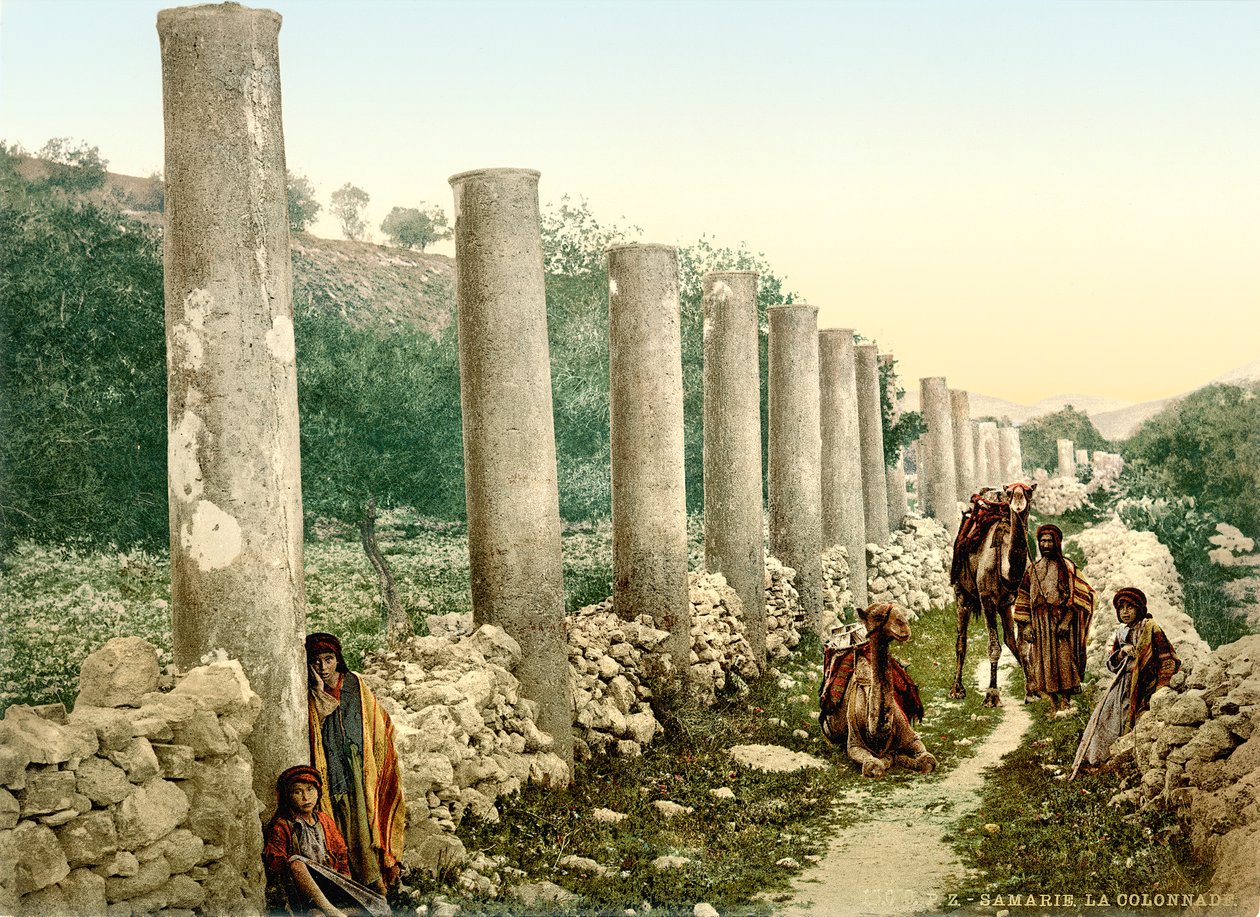 サマリアのローマの列柱通り、1880〜1900年頃（フォトクロム） 作： スイスの写真家