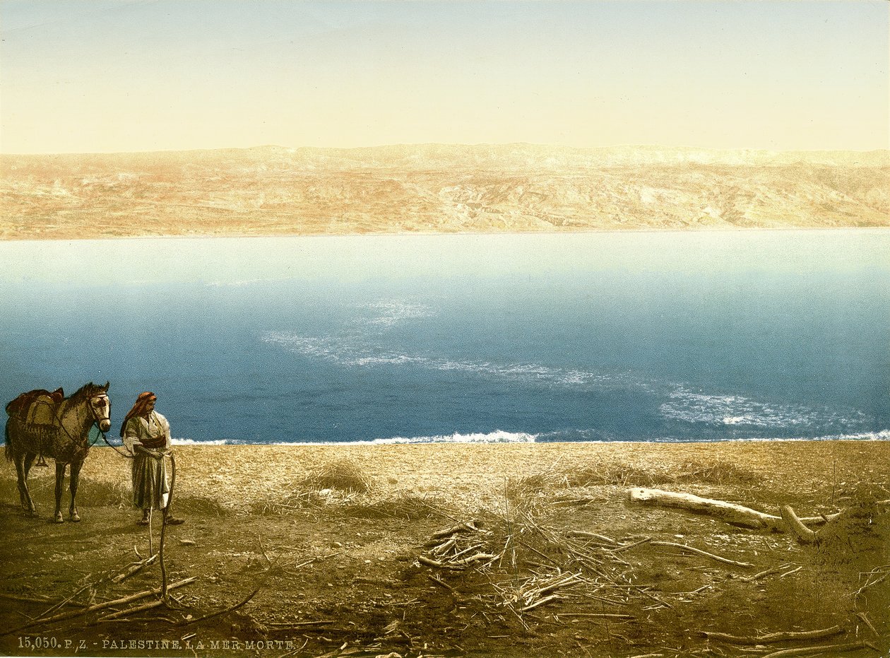 モアブに向かって東を見ている死海の眺め、1880〜1900年頃（フォトクロム） 作： スイスの写真家