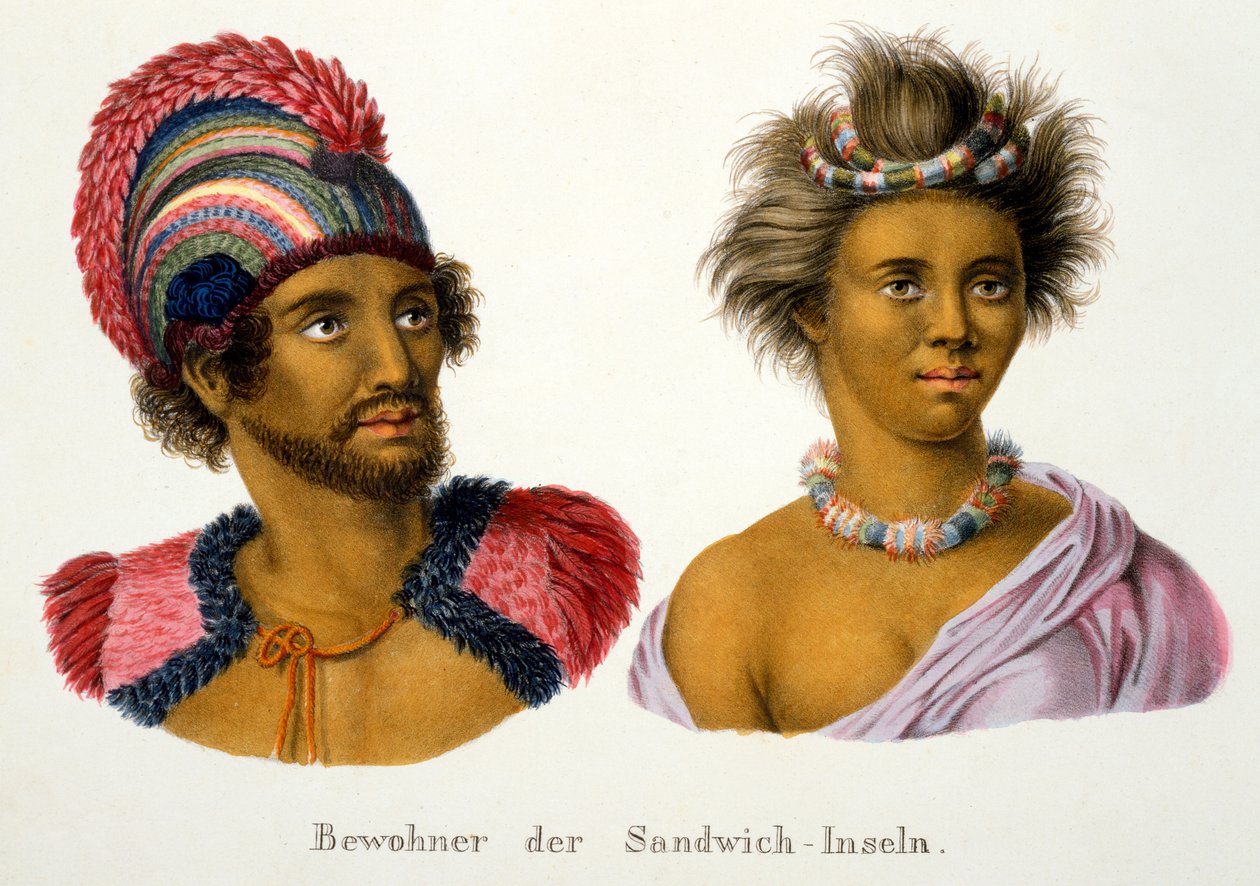 1824年のCI Brodtmannによる、さまざまな大陸のさまざまな人種タイプの民族学的研究による太平洋のサンドイッチ諸島の先住民 作： スイスの学校