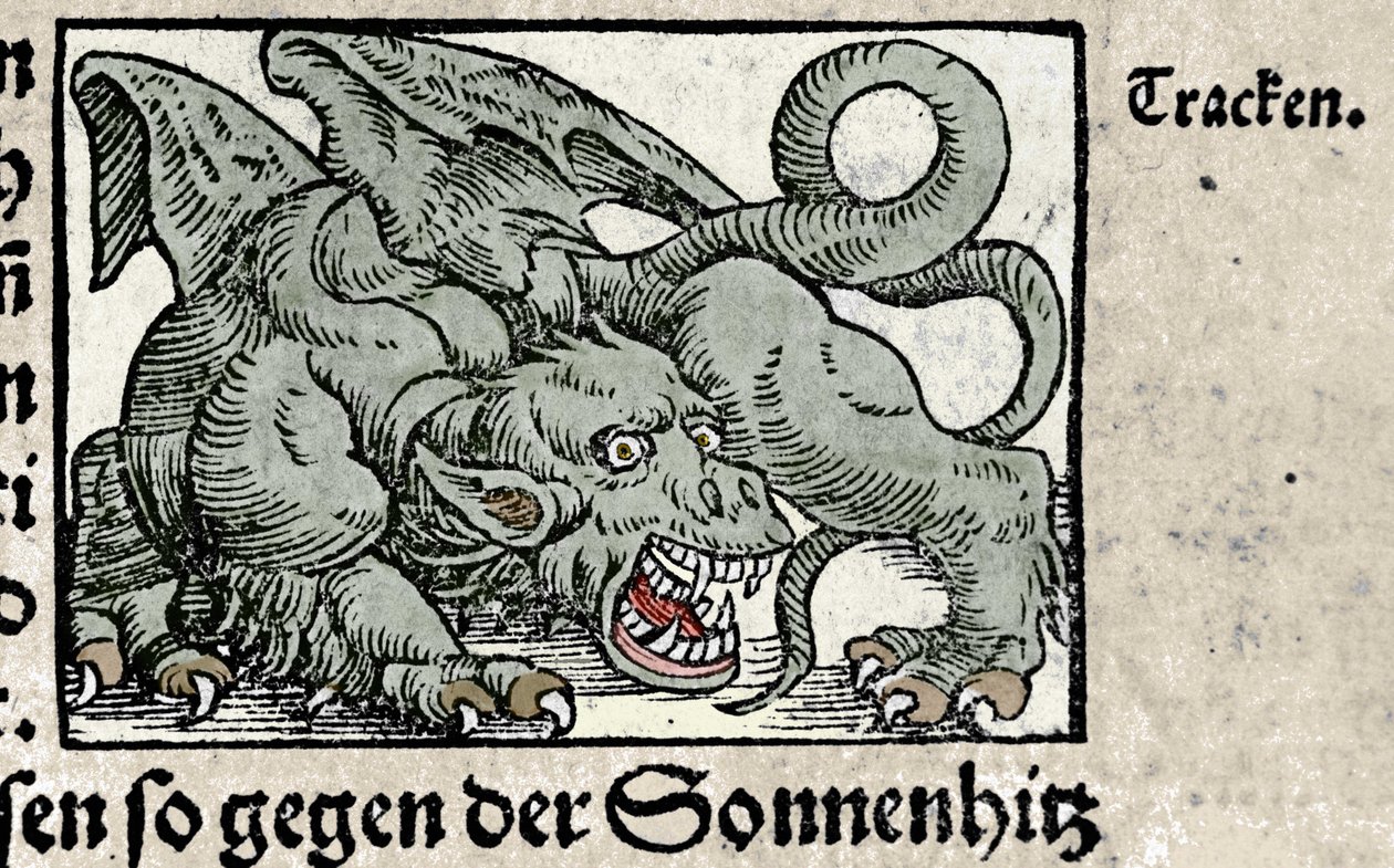 ドラゴンの表現：Johann Stumpffの「Den Edlen Strengen Besten Fromen」のエングレーヴィング。1550 作： スイスの学校