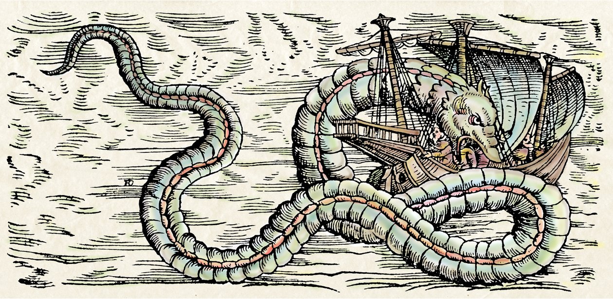 海の怪物、コンラッド・ゲスナー著『Historiae Animalium』からの挿絵 作： スイスの学校