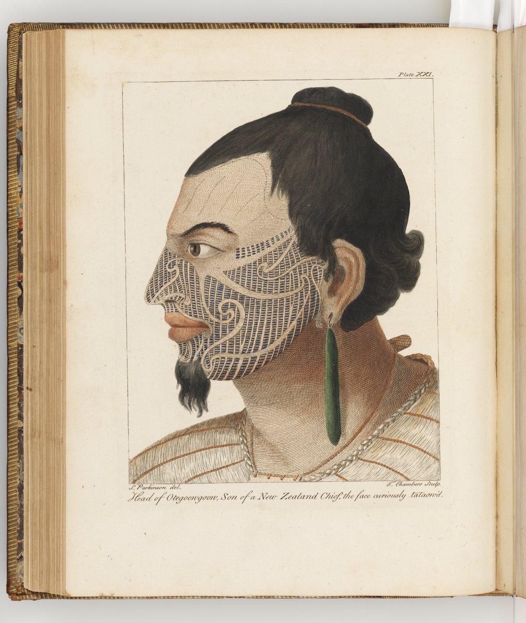 オテグーングーンの頭、南洋への航海日記のイラストからのイラスト：陛下の船、エンデバー号、1794年（手描きの彫刻） 作： シドニー