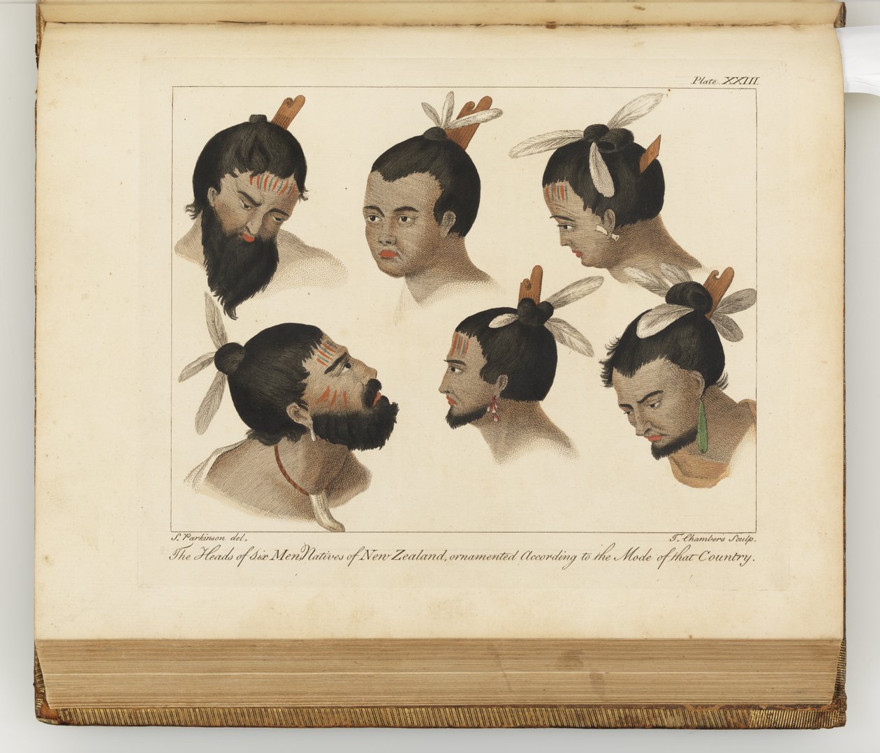 6人の男性の頭、南海への航海の日記からの挿絵：陛下の船、エンデバー号、1794年（手描きの彫刻） 作： シドニー