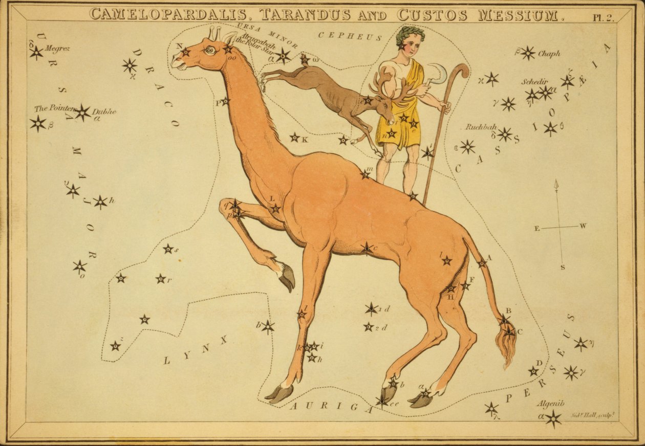 Camelopardalis、Tarandus、Custos Messius、「ウラニアの鏡」のイラスト 作： シドニーホール