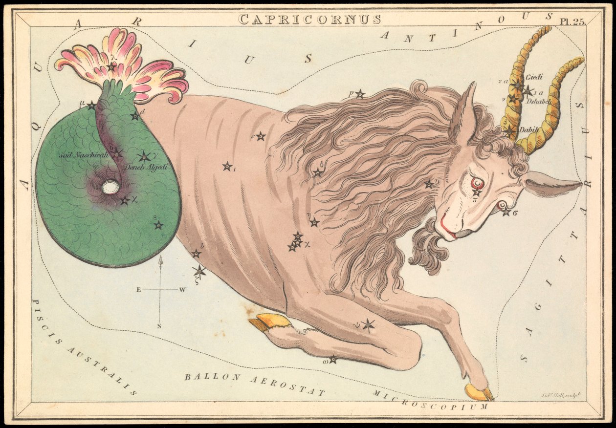 カプリコルヌス、1825年頃（カード、紙、ティッシュ） 作： シドニーホール