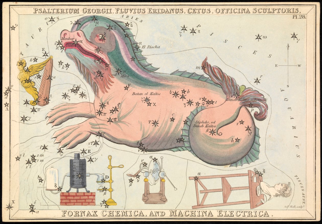 Psalterium Georgii, Fluvius Eridanus, Cetus, Officina Sculptories, Fornax Chemica and Machina Electrica, c.1825 (カード、紙、ティッシュ ) 作： シドニーホール