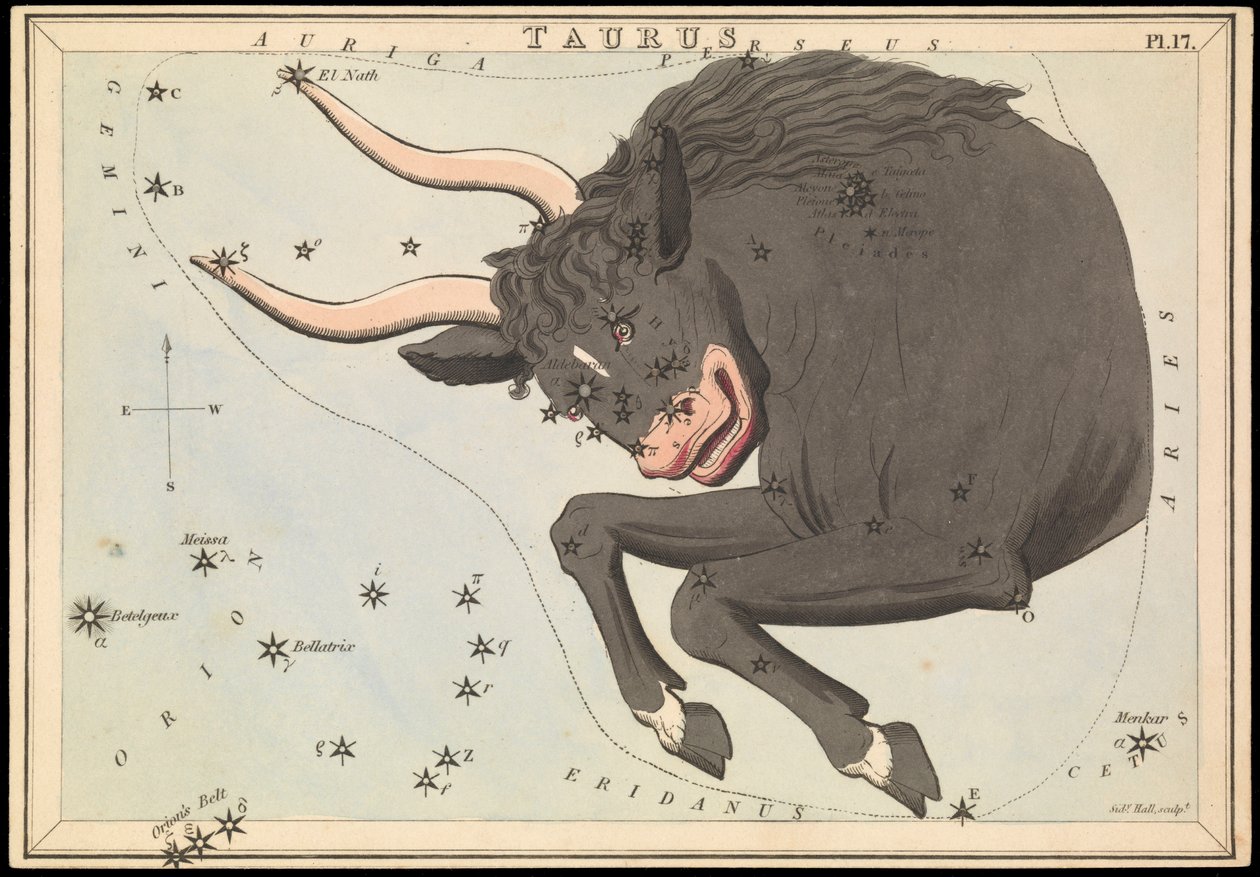 おうし座、1825年頃（カード、紙、ティッシュ） 作： シドニーホール
