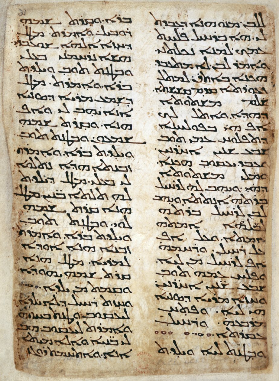 追加。 14425、f.31、ペンタチュークのテキスト ページ。 (創世記、出エジプト記、民数記、申命記)、464 (ベラム) 作： シリアシリア