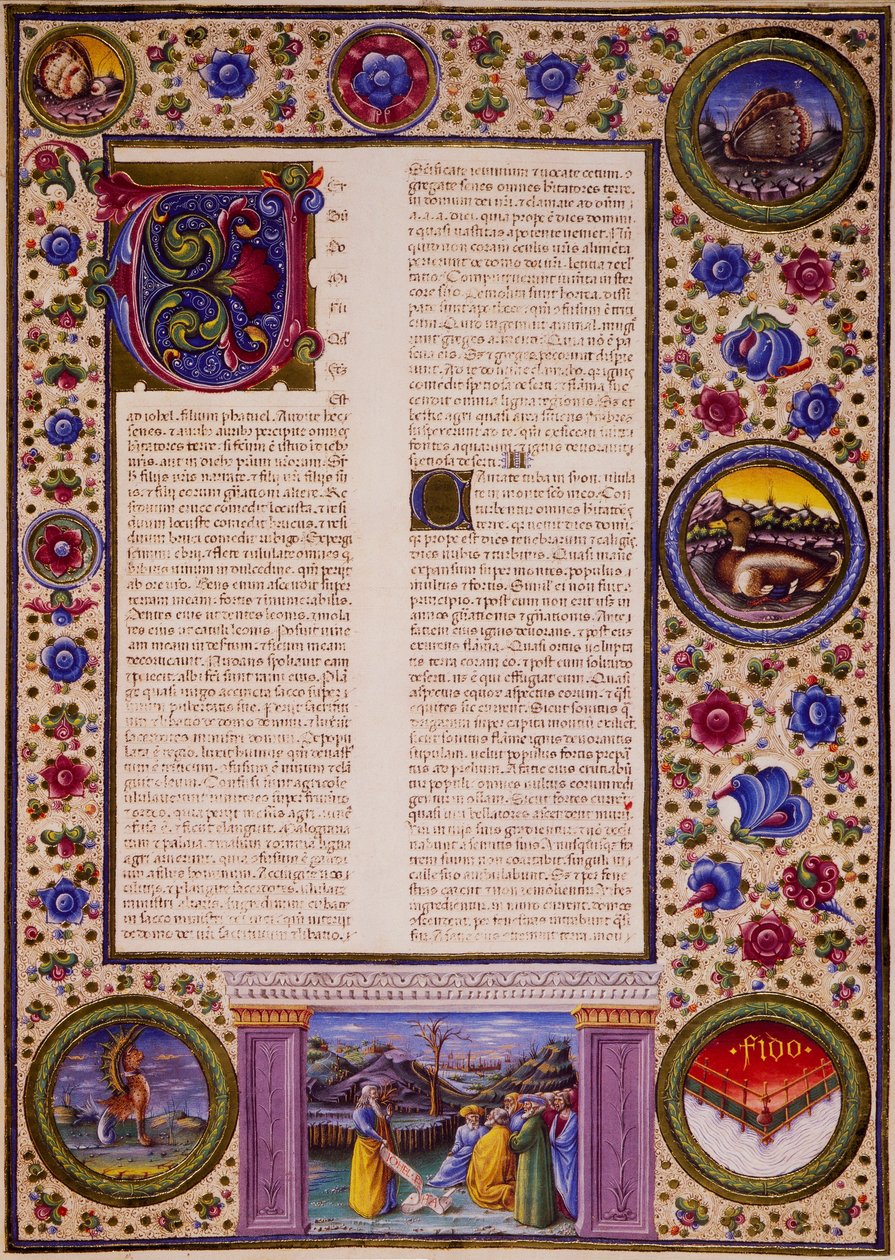 Taddeo Crivelli (1425-1479)らが彩色したBorso d