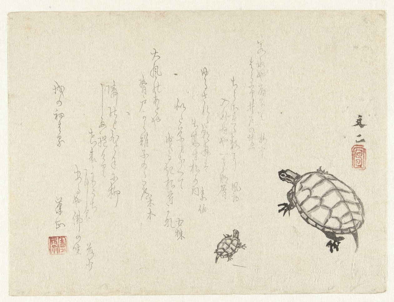 2匹のカメ 作： 谷文二