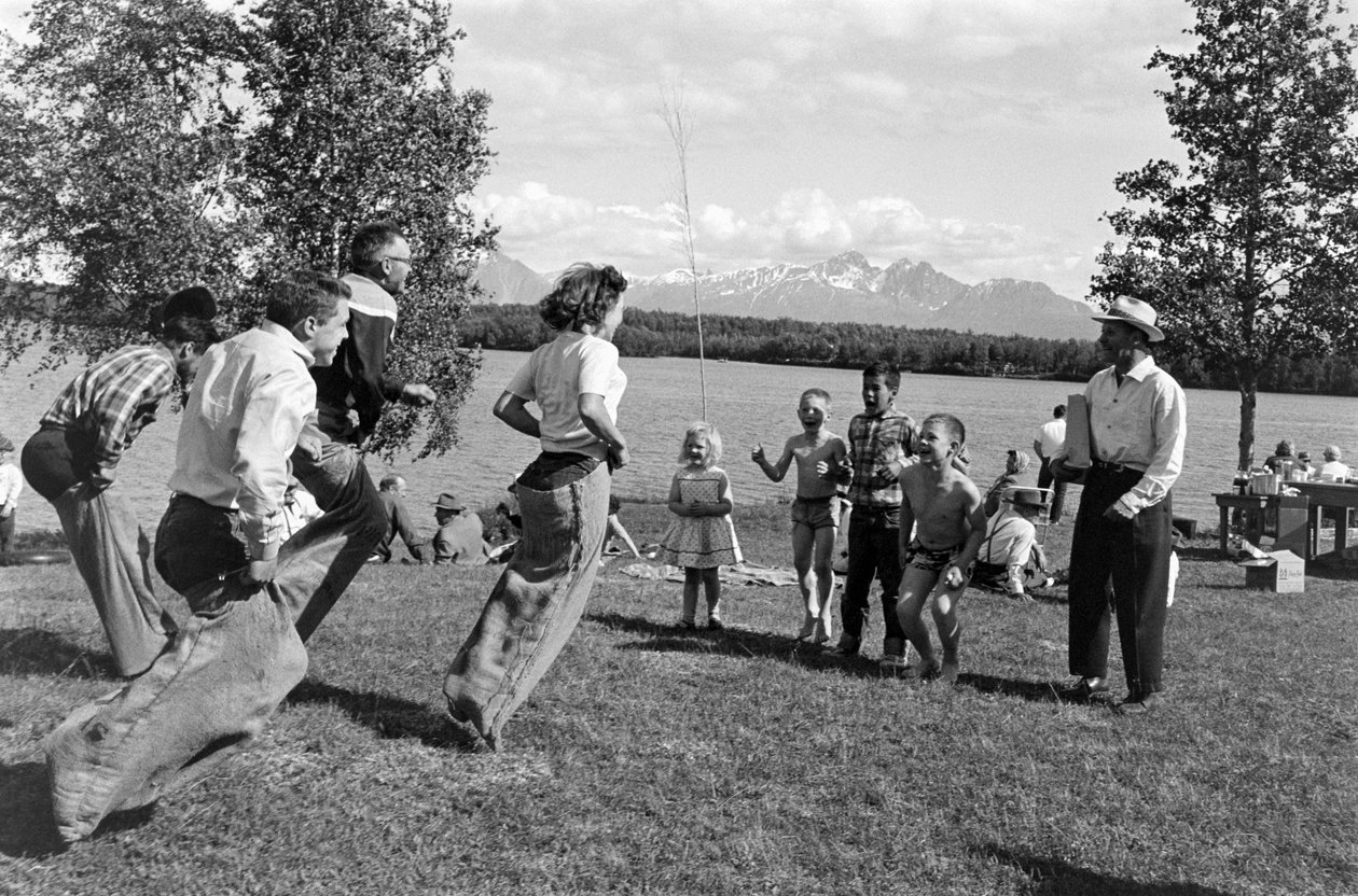 アラスカ州パーマーのマタヌスカ川のそばでピクニック中のゲーム 作： テッド・シュピーゲル