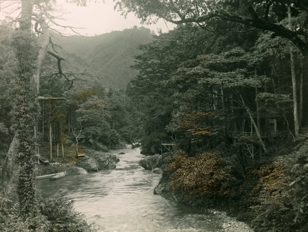 1900～1915年頃、山中地方の秋の森（写真） 作： 