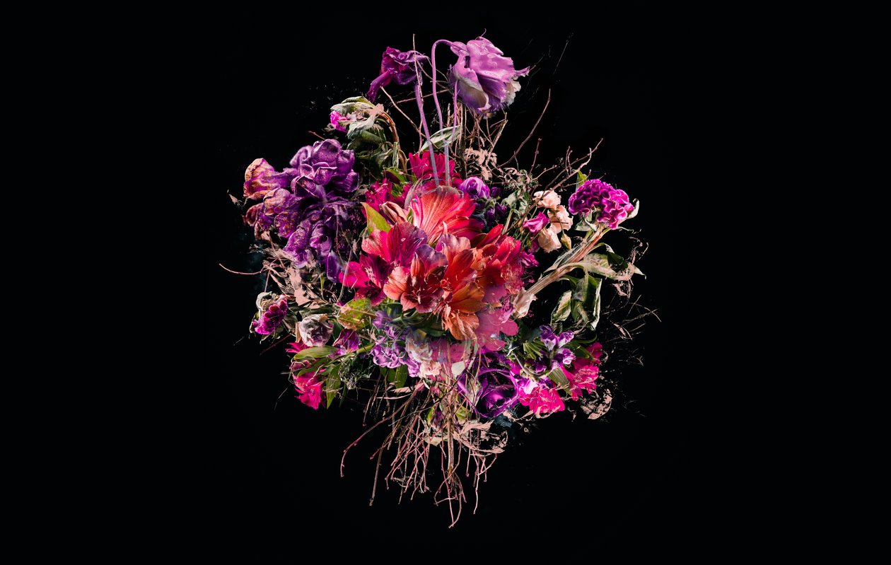 花束VIII、2018年（写真） 作： Teis Albers