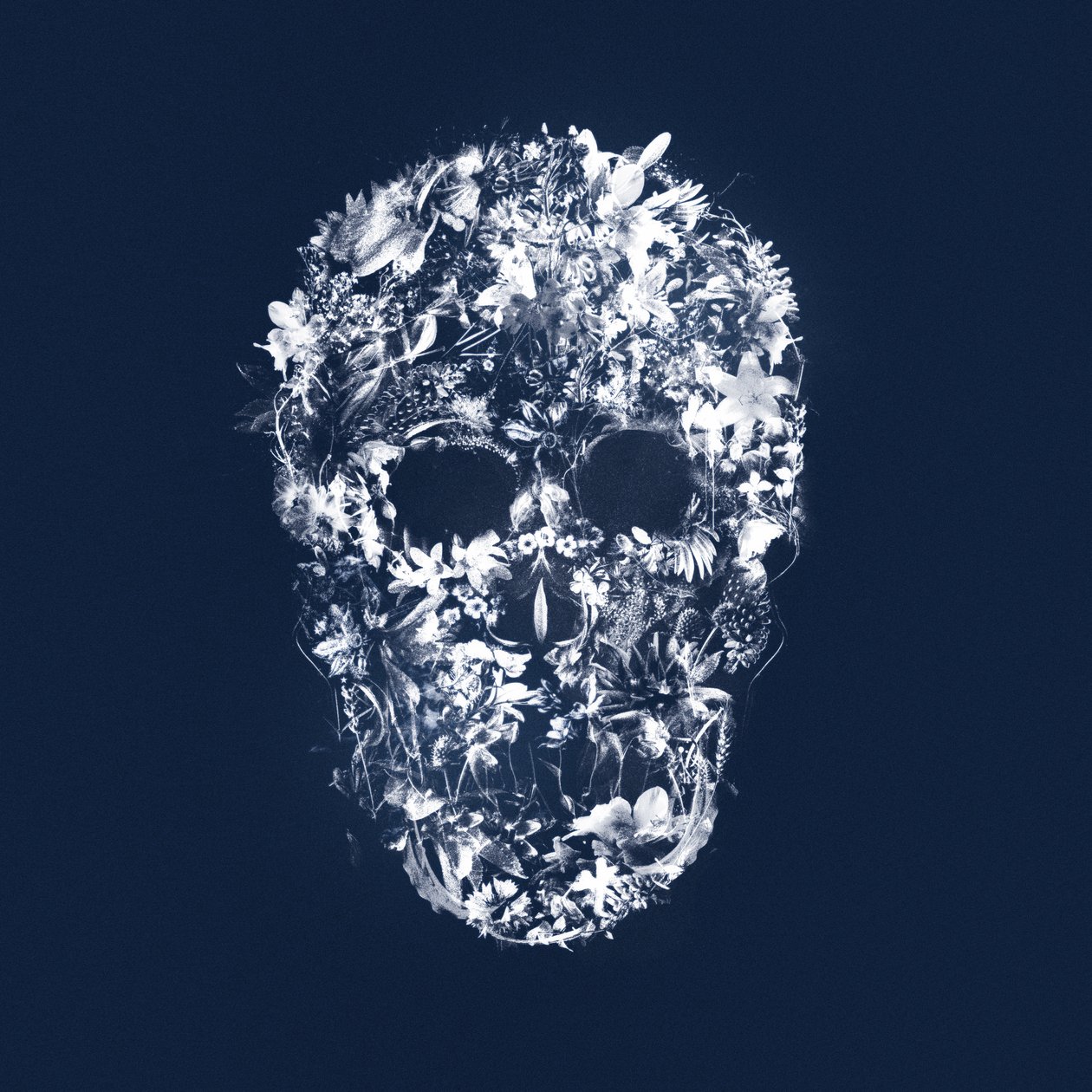 FloralSkull、2018年（キャンバスにミクストメディア） 作： Teis Albers