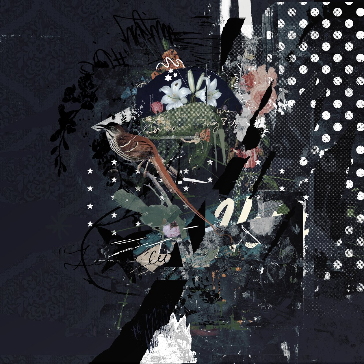 Floralbirds, 2017 (Colagem sobre tela) 作： Teis Albers