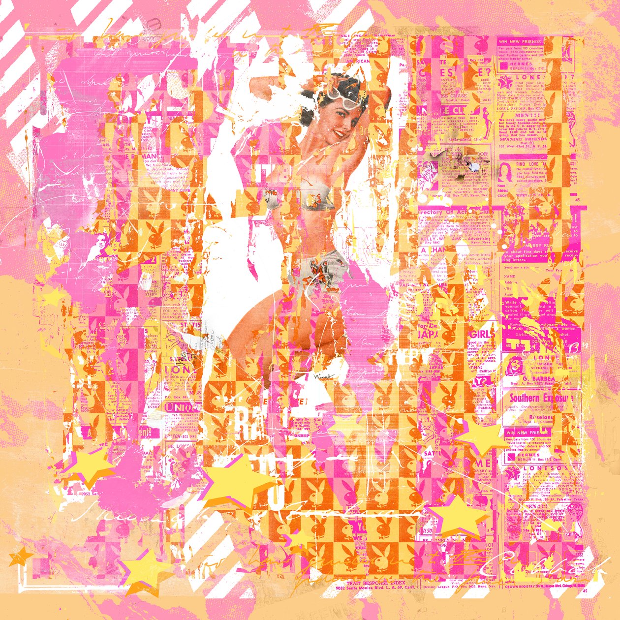 Pinup2、2014年（キャンバスにミクスト メディア） 作： Teis Albers