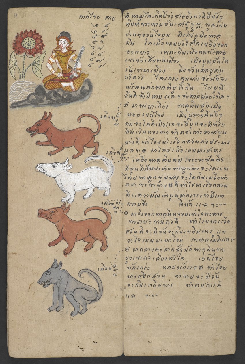 または、16455 f.11r、ゾディアックの動物、プロマチャット (羊皮紙) より 作： タイの学校