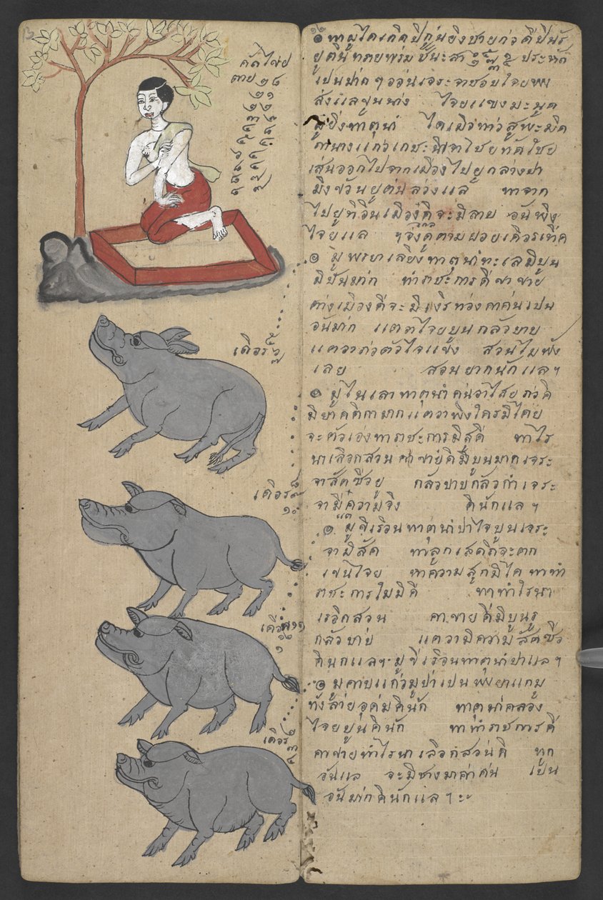 または、16455 f.13r、ゾディアックの動物、プロマチャット (羊皮紙) より 作： タイの学校