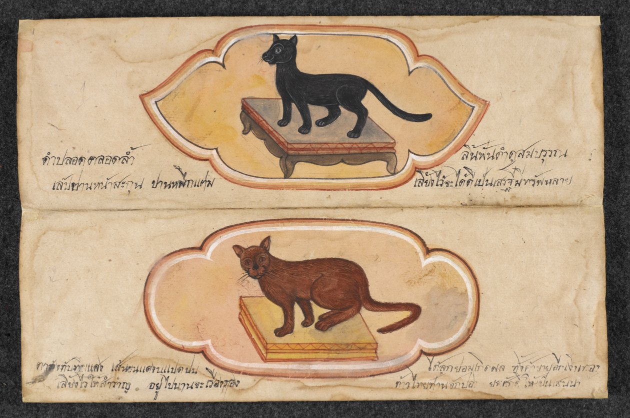 シャム猫、フォル。 1：商売と富の蓄積をサポートする2匹の招き猫、または。 16797、f.1（羊皮紙） 作： タイの学校
