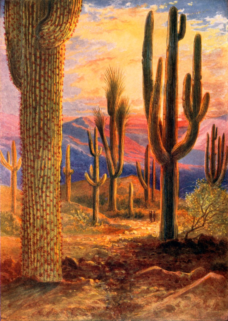  作： テオバルドカレラス