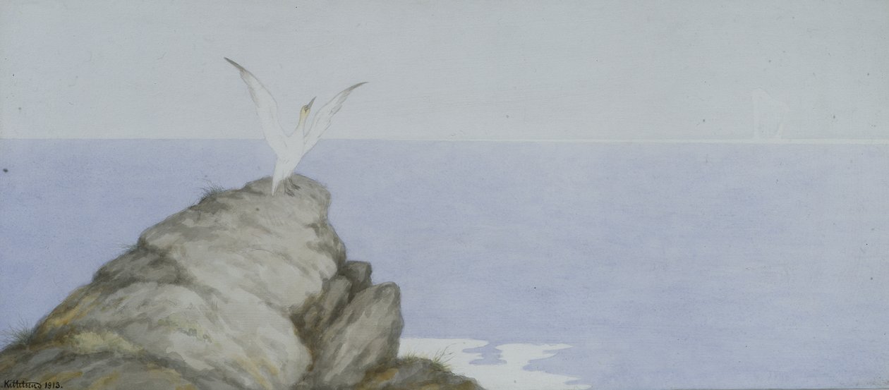 海鳥（紙に水彩） 作： セオドア・キッテルセン